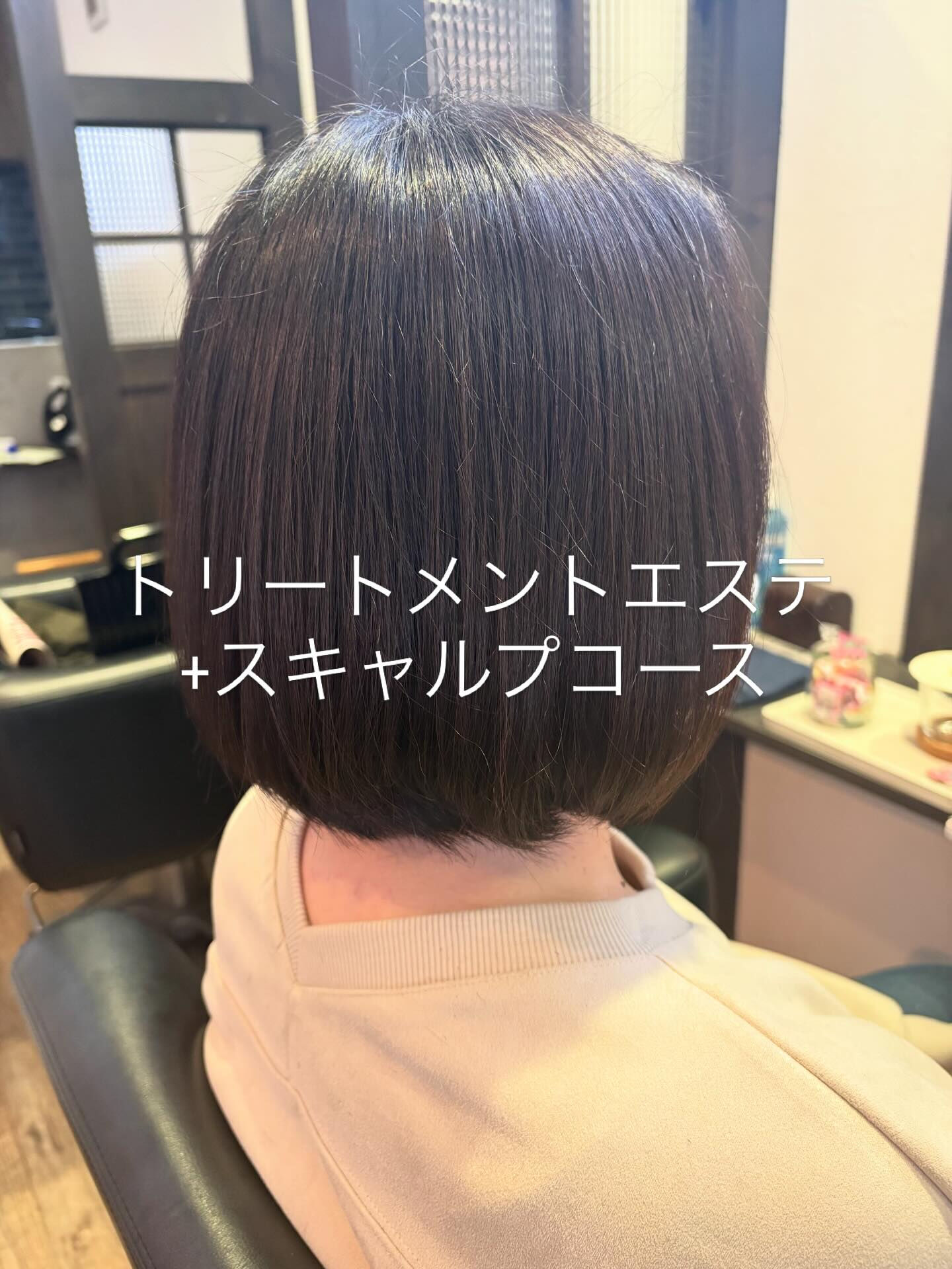 トリートメントエステ+スキャルプコース