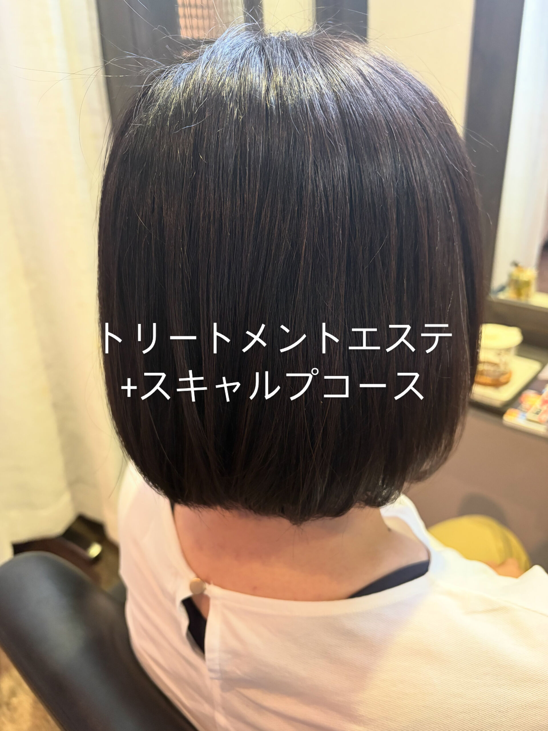 トリートメントエステ+スキャルプコース