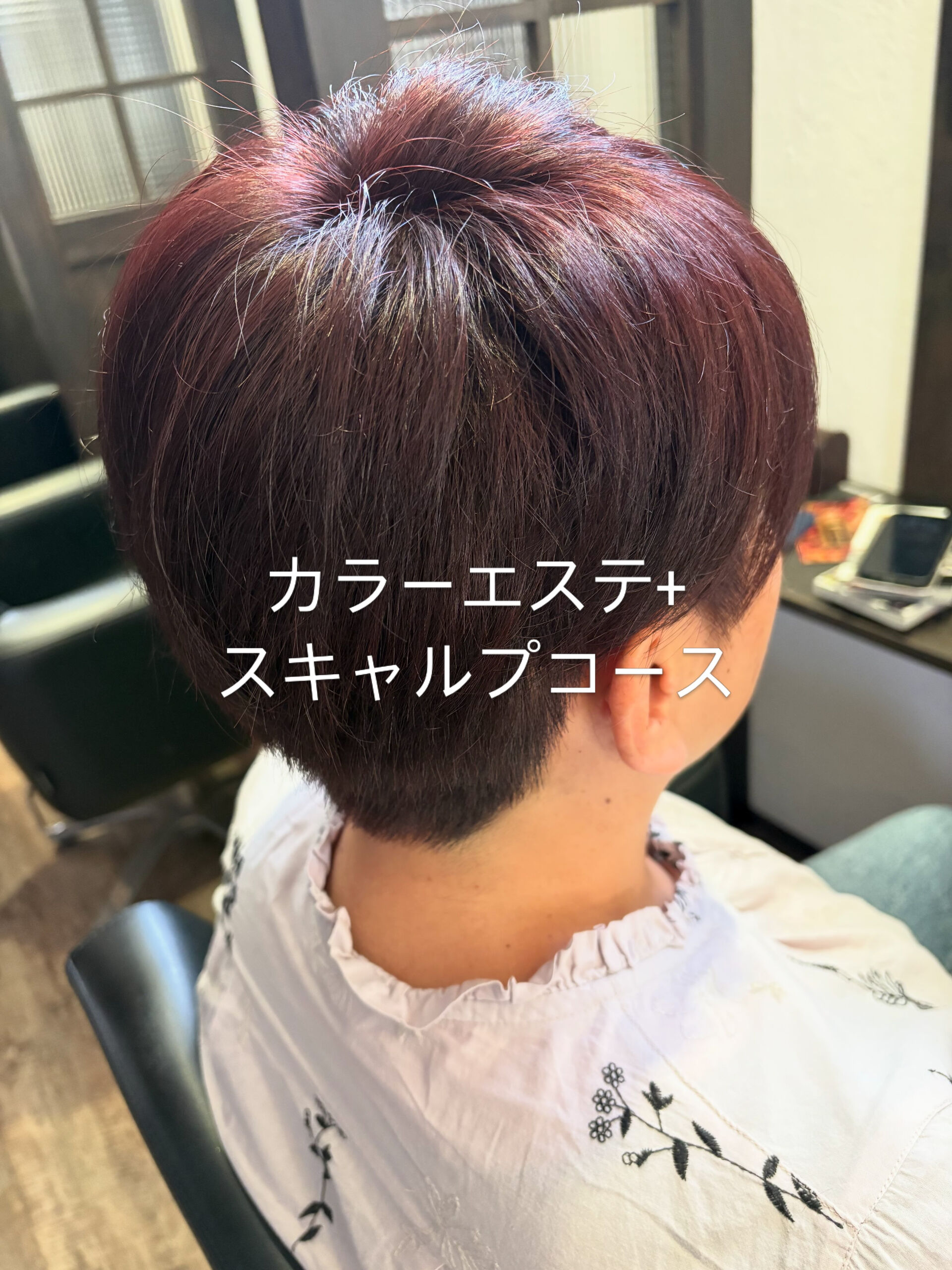 カラーエステ+スキャルプコース